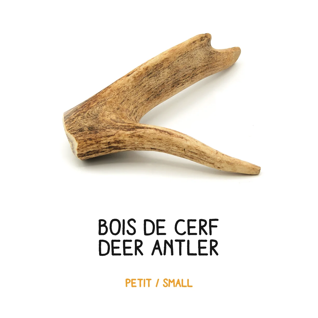 Bois de cerf - S - 31-60g – Image 2
