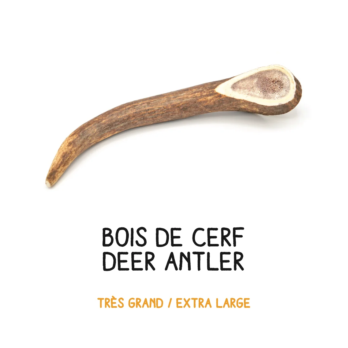 Bois de cerf - XL - 181-260g – Image 2