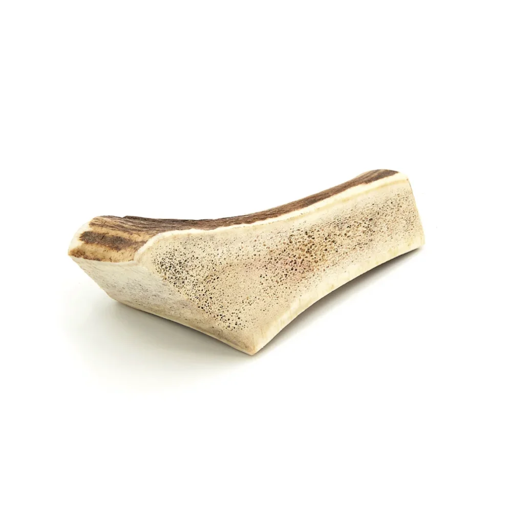 Bois de cerf brisé - L - 71-120g