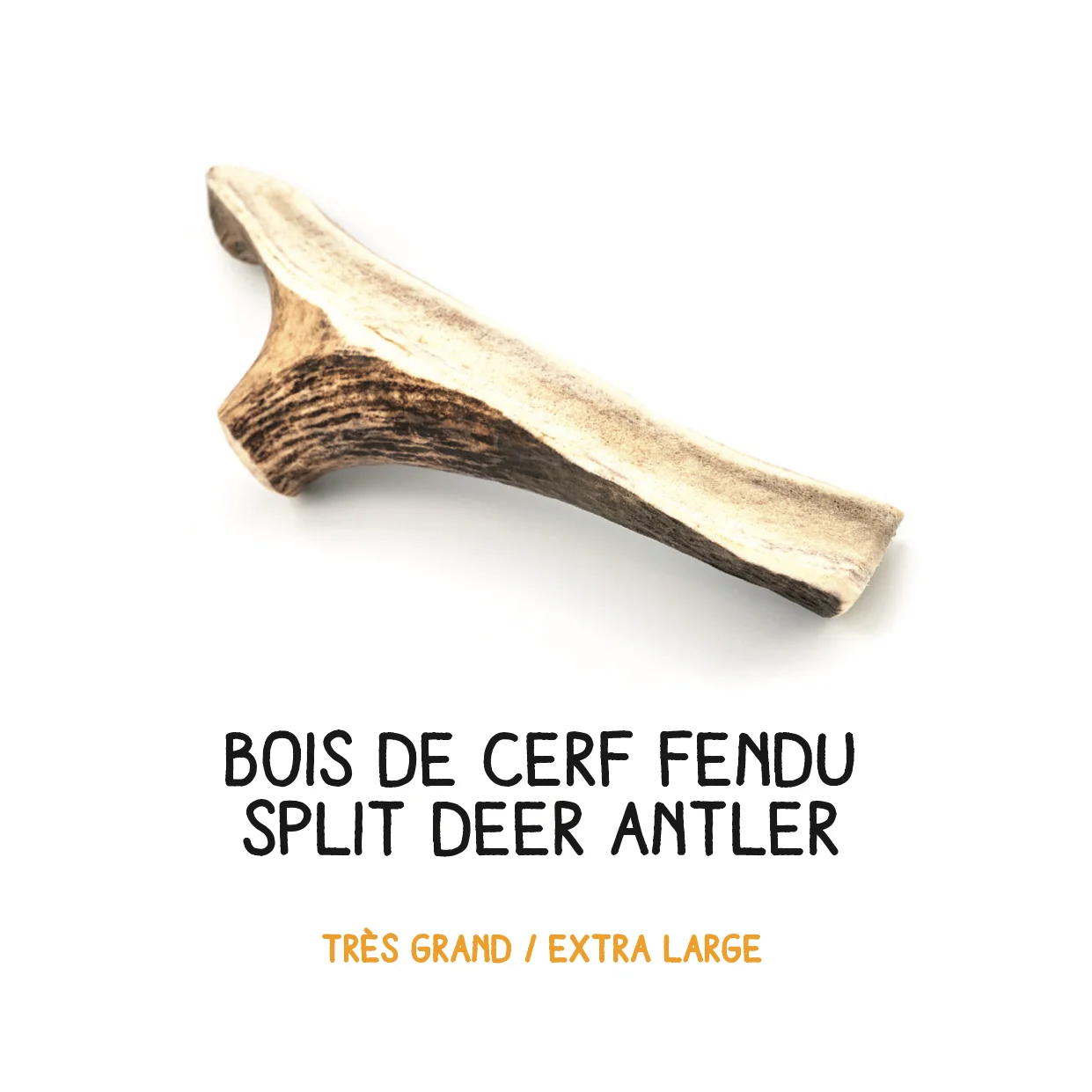 Bois de cerf brisé - XL - 121-160g – Image 2