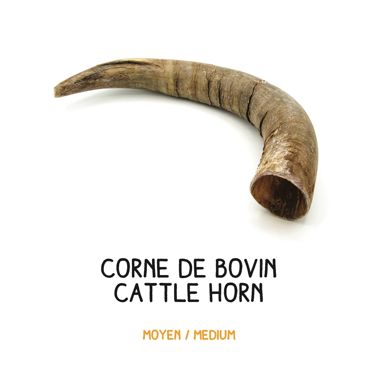 Corne de bovin - M - 201- 350g – Image 2