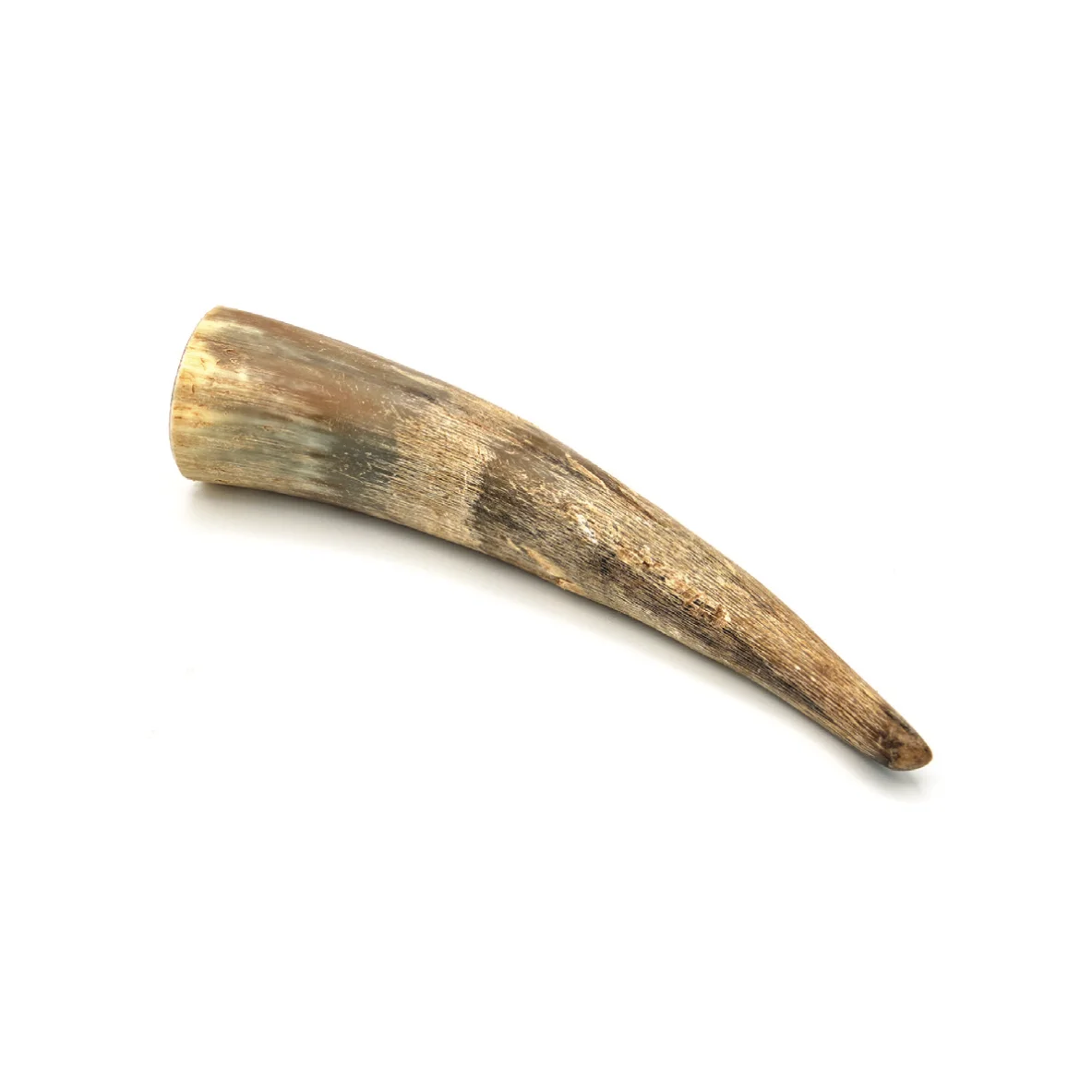 Corne de bovin - S - 80- 200g