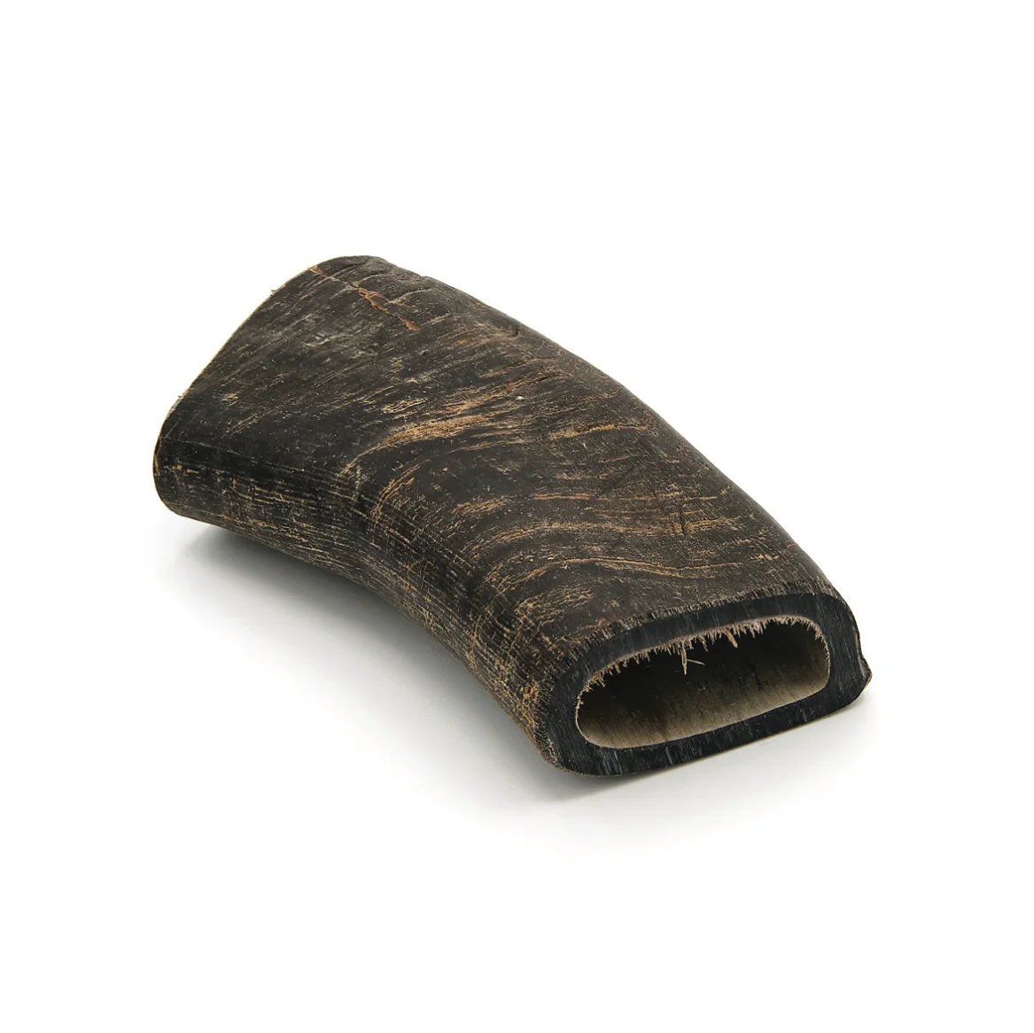 Corne de buffle - M - 251- 400g