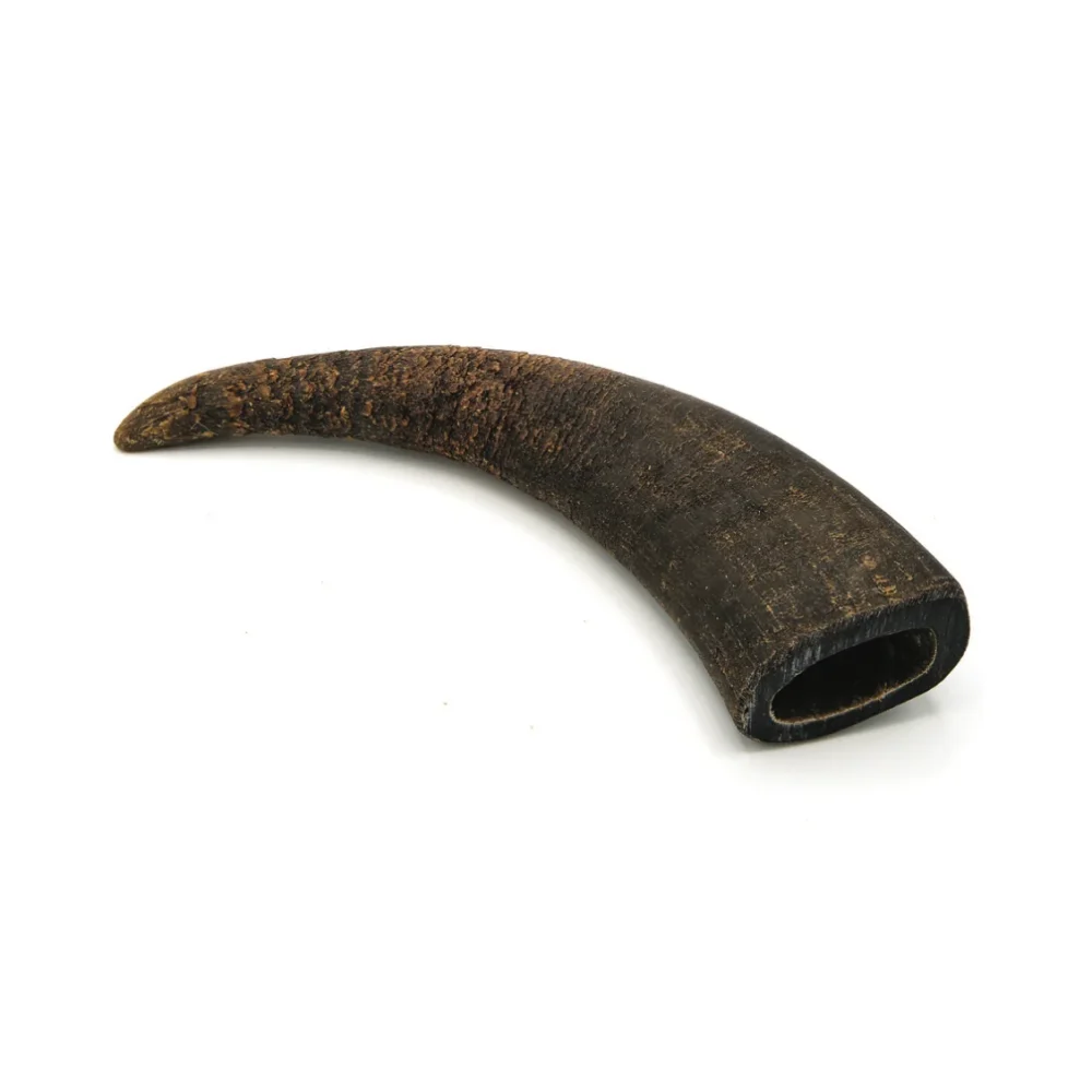 Corne de buffle - S - 100- 250g