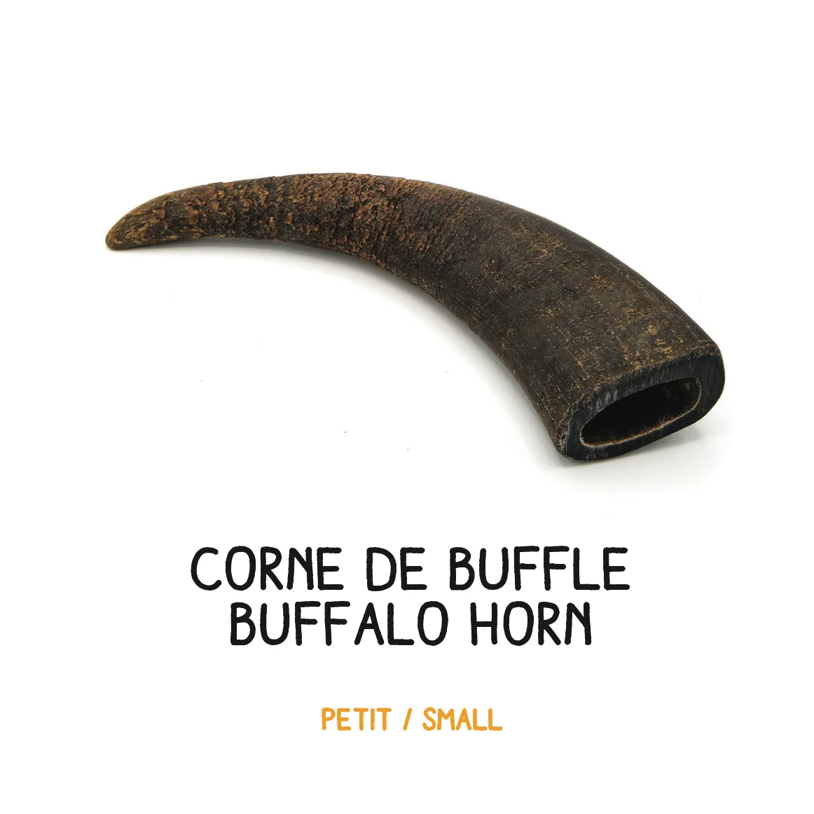 Corne de buffle - S - 100- 250g – Image 2