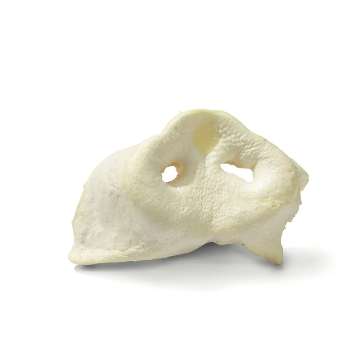 NEZ DE PORC BLANC DESHYDRATEE