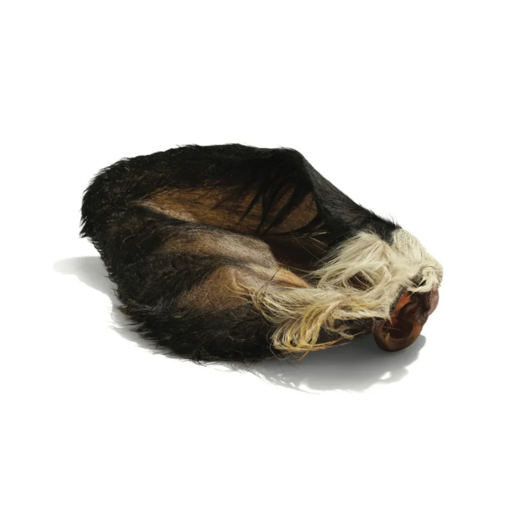 Oreilles de boeuf deshydratee avec poils