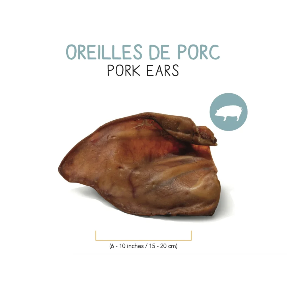 Oreilles de porc – Medium (1)
