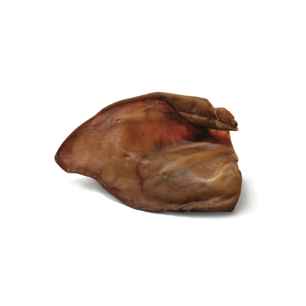 Oreilles de porc - Medium