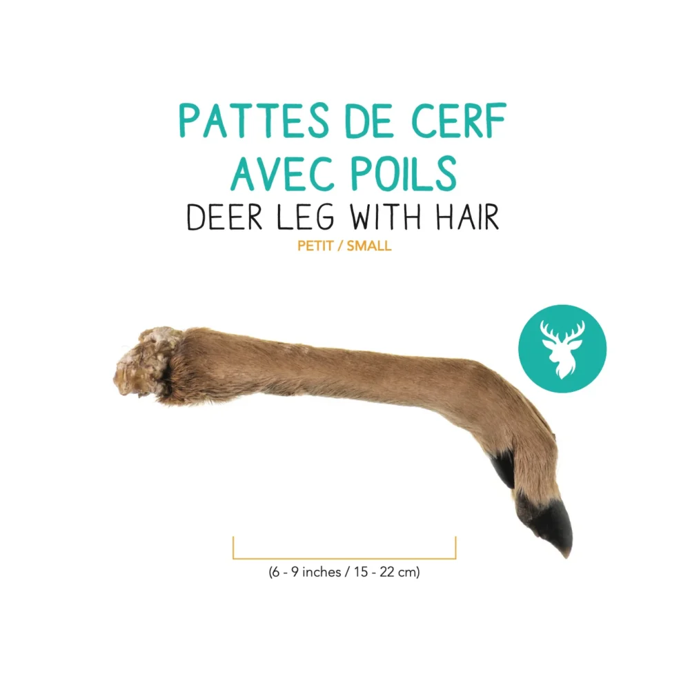 PATTES DE CERF DESHYDRATEE AVEC POILS – PETIT (1)