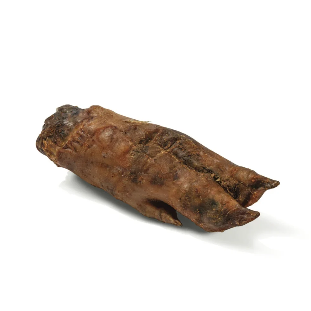 PIEDS DE PORC DESHYDRATEE - 170g