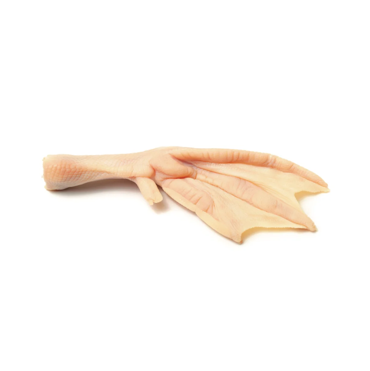 Pattes de Canard