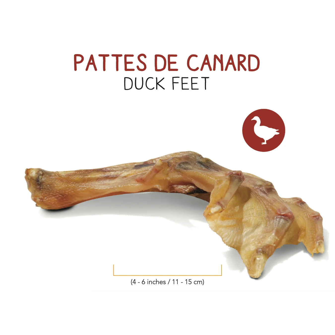 Pattes de Canard – Image 2