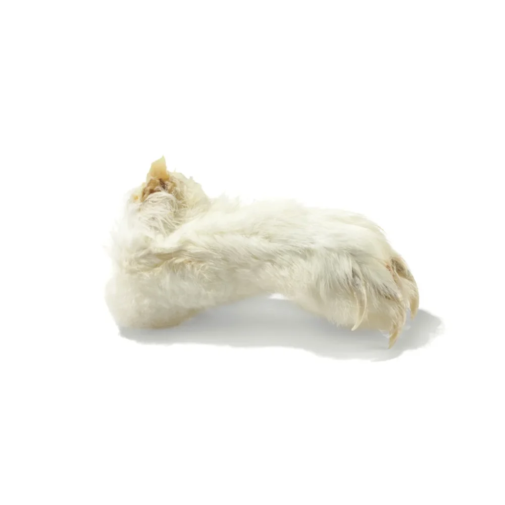 Pattes de Lapin