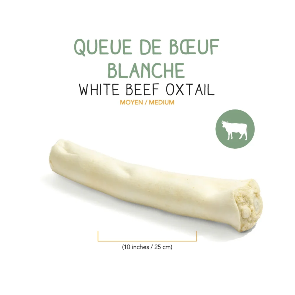 QUEUE DE BOEUF BLANCHE DESHYDRATEE – 25 cm