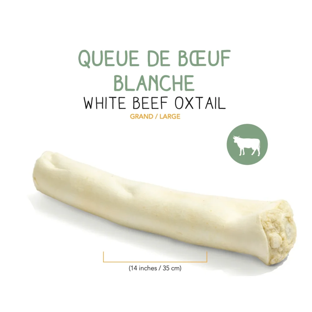 QUEUE DE BOEUF BLANCHE DESHYDRATEE – 35 cm (1)