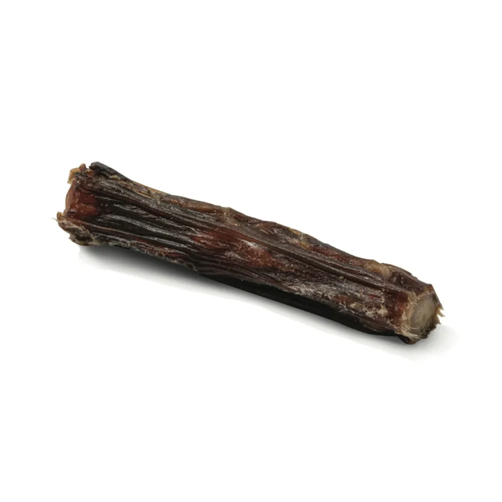 Queue de boeuf deshydratee  - 15 cm