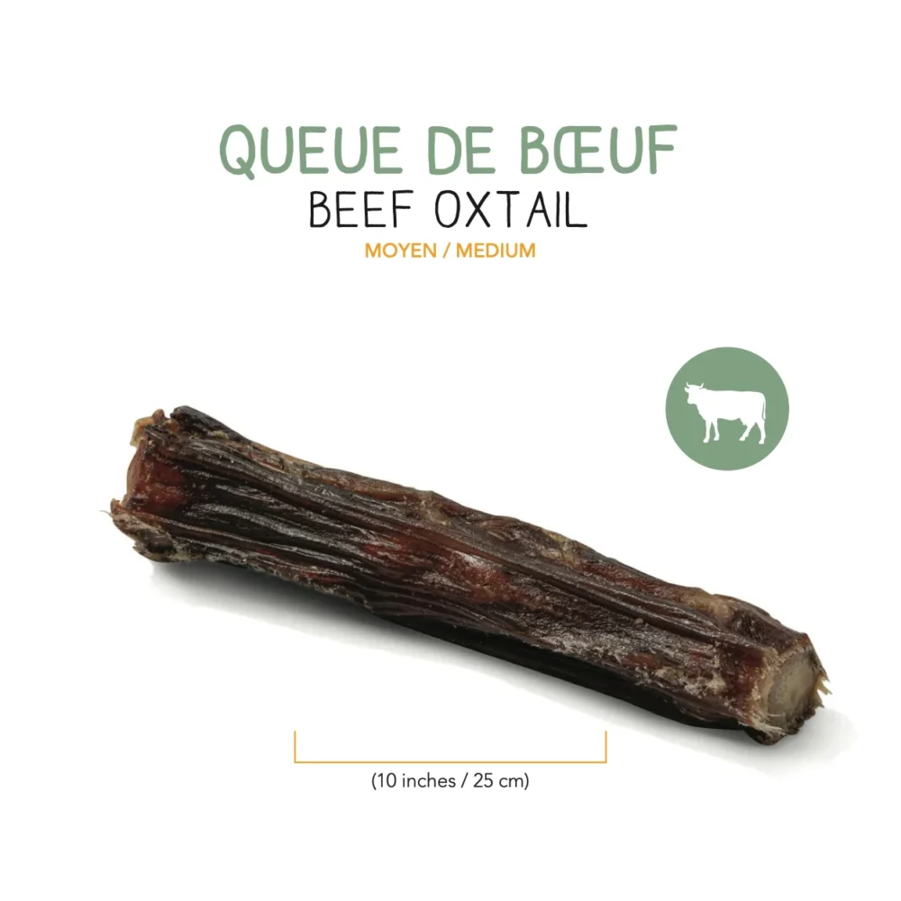 QUEUE DE BOEUF DESHYDRATEE – 25 cm (1)
