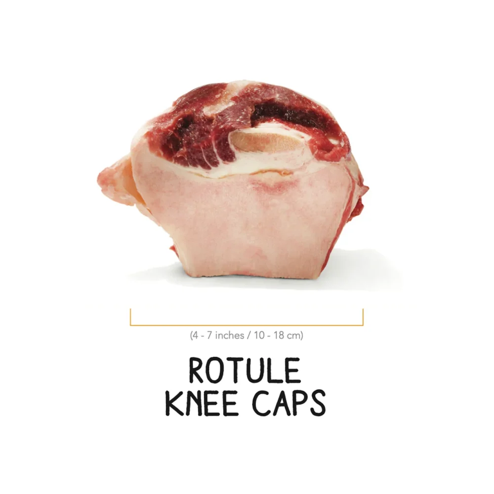 Rotule
